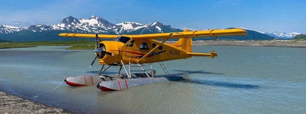 Alaska Bear Viewing Tours, The Best Tours in Alaska